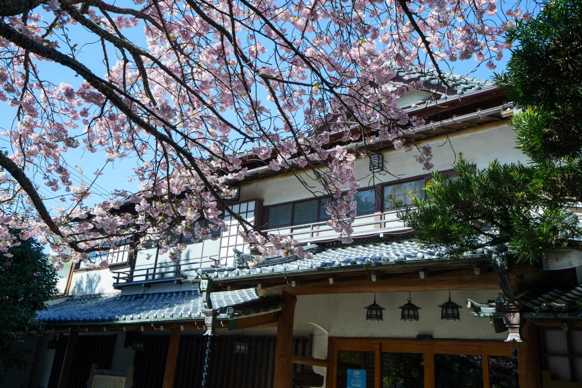 Sakahijiri Gyokushoen Izu (Shizuoka) Exterior foto